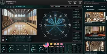 Accentize Chameleon Surround v1.0.2-R2R-康灵博客